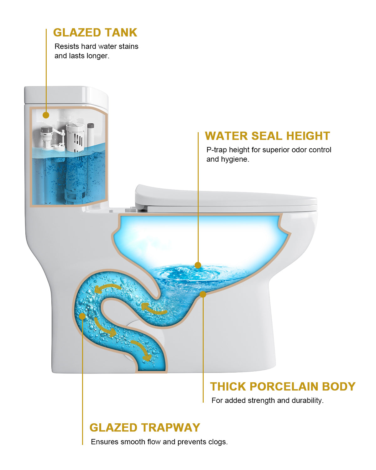 Dcolora One Piece Toilet Single Flush 1.28 GPF Siphonic Flushing Bathroom Modern Comfort Height White Ceramic Standard Compact Tall Elongated Toilet, 12" Rough-in, DC-O8811