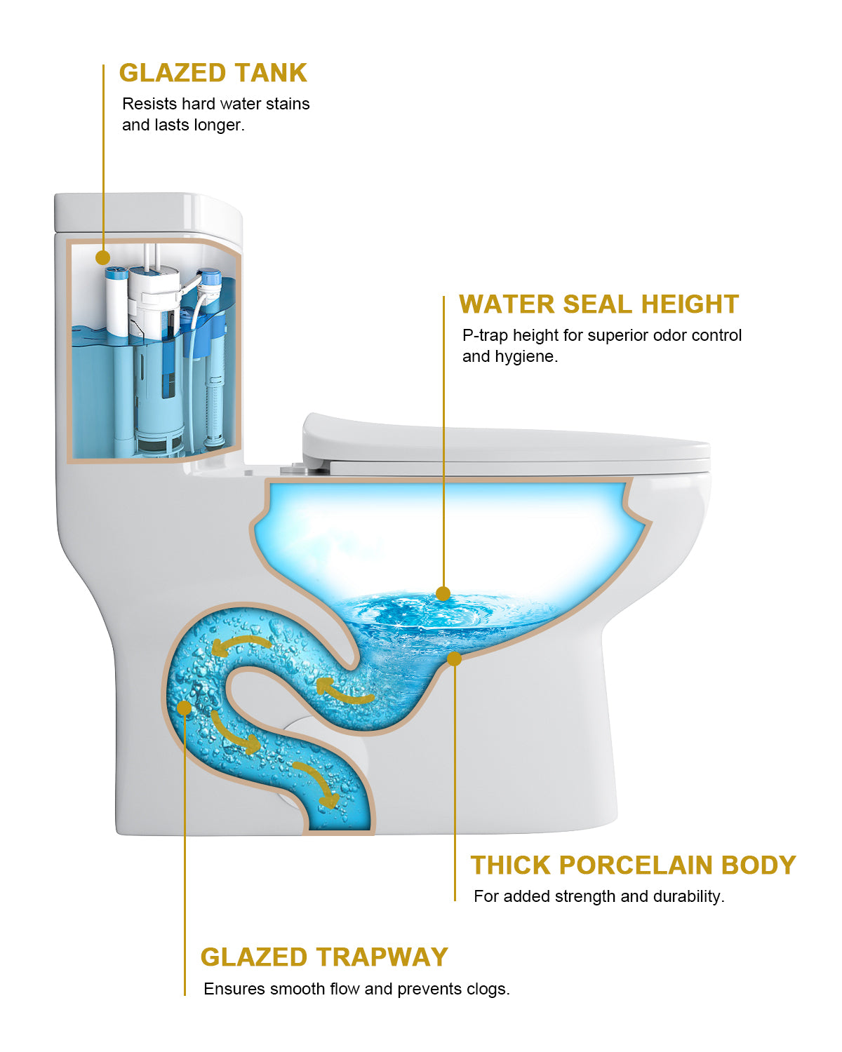 Dcolora One Piece Toilet Dual Flush 1.1/1.6 GPF Siphonic Flushing Bathroom Modern Comfort Height White Ceramic Compact Tall Toilet, 12" Rough-in, DC-O8812