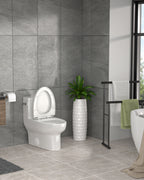 Dcolora One Piece Elongated Toilet, 1.28 GPF Single Flush Siphonic, Comfort Height White Ceramic, 12'' Rough-In