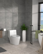Dcolora Modern Elongated One Piece Toilet, 1.1/1.6 GPF Dual Flush, Soft Close Seat, 12'' Rough-In, Ivory White