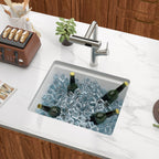 Dcolora 21 Inch Undermount White Wet Bar Sink  Quartz Composite Sink Single Bowl Workstation Kitchen Sink