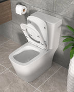 Dcolora One Piece Elongated Toilet, 1.28 GPF Cyclone Single Flush, Soft Close Seat, 12'' Rough-In, Ivory White