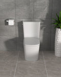 Dcolora One Piece Elongated Toilet, 1.28 GPF Power Flush, Soft Close Seat, 12'' Rough-In, Glossy White