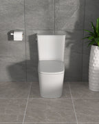 Dcolora One Piece Elongated Toilet, 1.28 GPF Cyclone Single Flush, Soft Close Seat, 12'' Rough-In, Ivory White