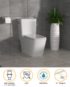 Dcolora One Piece Elongated Toilet, 1.28 GPF Cyclone Single Flush, Soft Close Seat, 12'' Rough-In, Ivory White