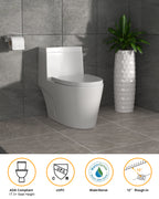 Dcolora Modern Elongated One Piece Toilet, 1.1/1.6 GPF Dual Flush, Soft Close Seat, 12'' Rough-In, Ivory White