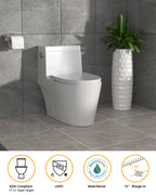 Dcolora One Piece Toilet, 1.28 GPF Efficient Flush, Chair Height Comfort Seat, Modern Design, 12'' Rough-In, Ivory White
