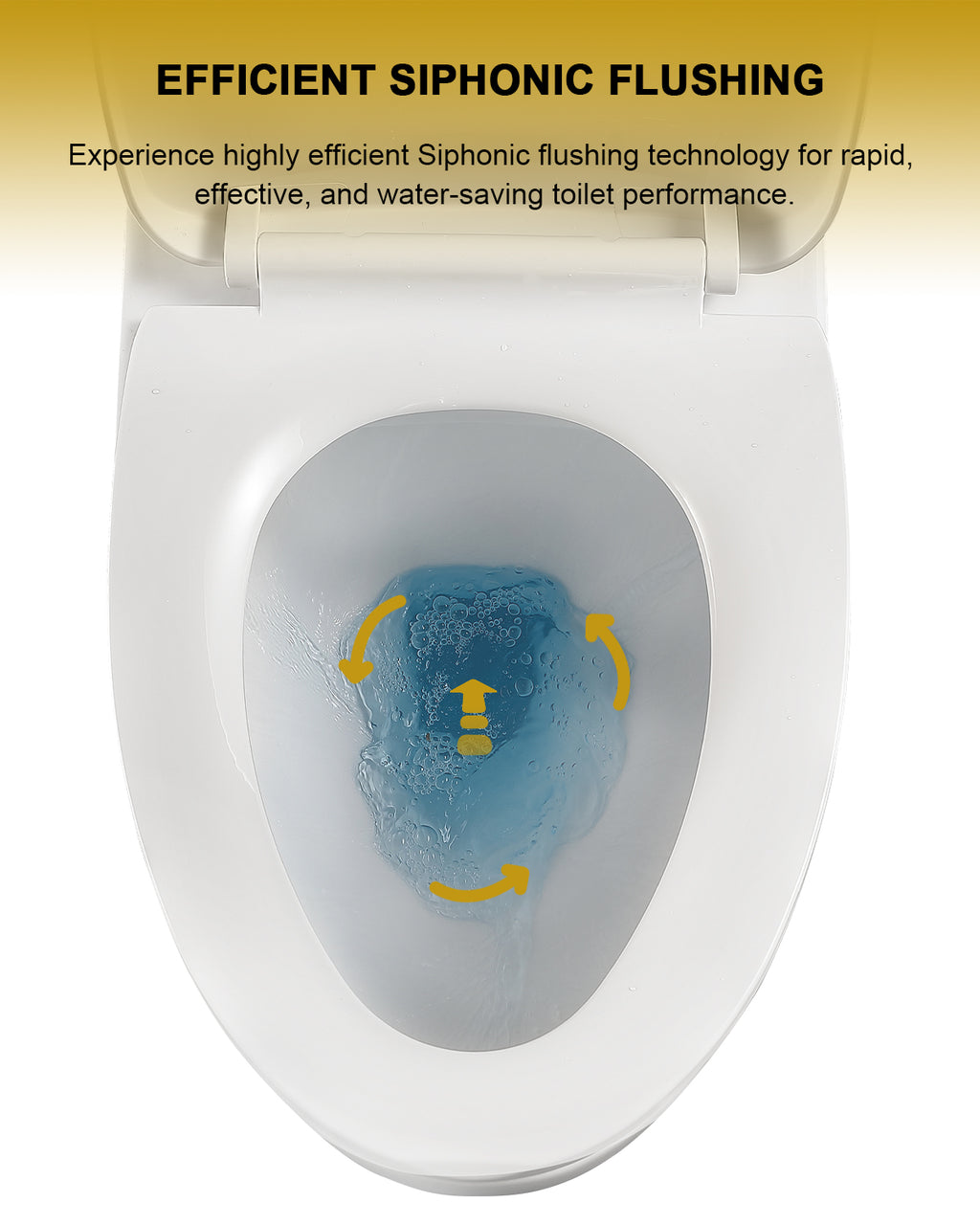 Dcolora One Piece Toilet, 1.1/1.6 GPF Dual Flush Siphonic, Comfort Height White Ceramic, 12'' Rough-In
