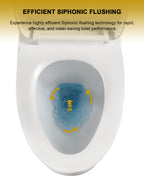Dcolora One Piece Elongated Toilet, 1.28 GPF Single Flush Siphonic, Comfort Height White Ceramic, 12'' Rough-In