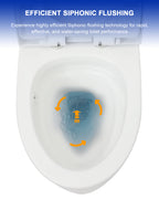 Dcolora One Piece Toilet, 1.28 GPF Efficient Flush, Chair Height Comfort Seat, Modern Design, 12'' Rough-In, Ivory White