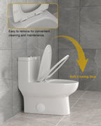 Dcolora One Piece Toilet, 1.1/1.6 GPF Dual Flush Siphonic, Comfort Height White Ceramic, 12'' Rough-In