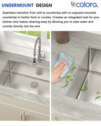 Dcolora 32''x19''x10'' Undermount Kitchen Sink, Hand Welded 16 Gauge 304 Stainless Steel Classic Brushed Large Single Bowl Basin, Round Corner