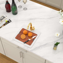 Dcolora DC-SFDOE00128 installed as a drop-in/topmount bar sink