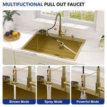Bowl, rim, finish, and drain details for Dcolora DC-NSD26203011